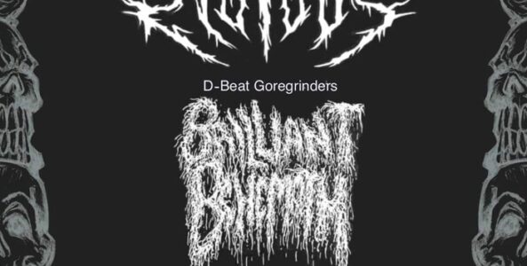 INFURIATE, RIOTOUS, BRILLIANT BEHEMOTH, SLITH, CONTRACHARGE