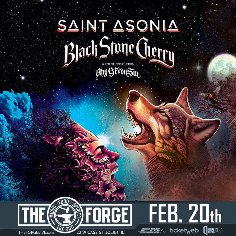 SAINT ASONIA, BLACK STONE CHERRY, ANY GIVEN SIN