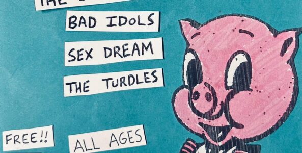 THE IRON SPIDERS, BAD IDOLS, SEX DREAM, THE TURDLES