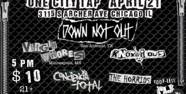 DOWN NOT OUT, VIRGIN WHORES, KNOXIOUS, THE HORRIDS, CONCIENCIA TOTAL