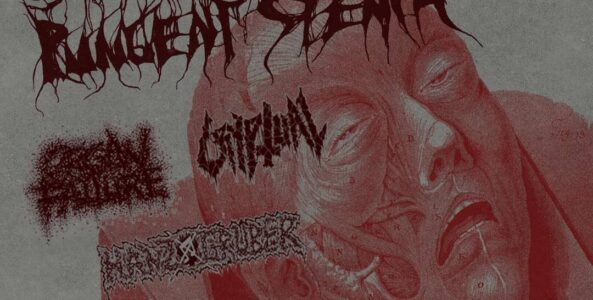 SCHIRENC PLAYS PUNGENT STENCH, ORGAN FAILURE, CRYPTUAL, HANZXGRUBER