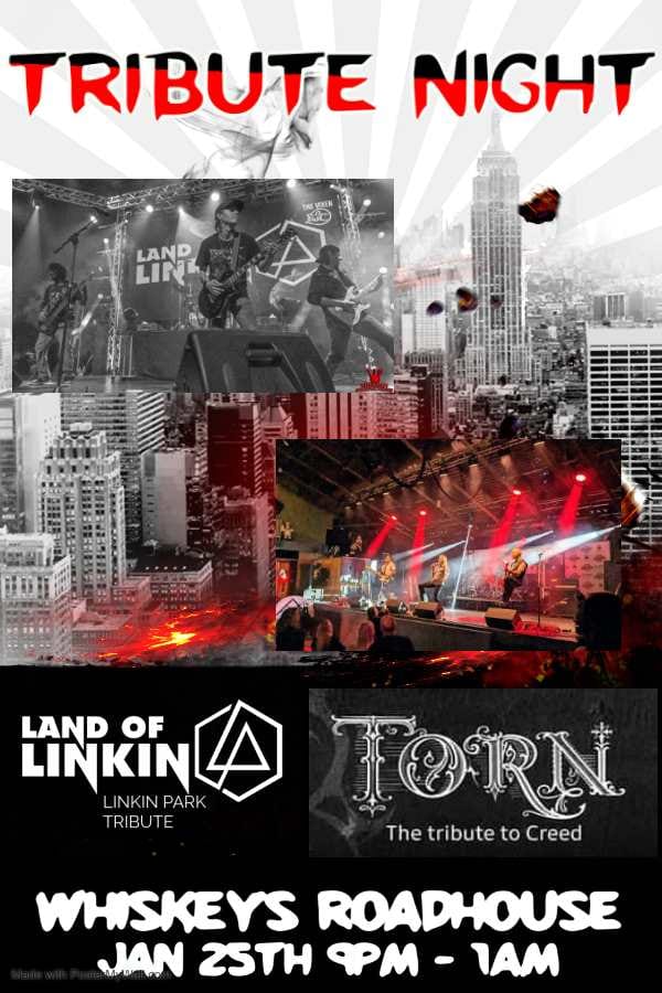 LAND OF LINKIN, TORN