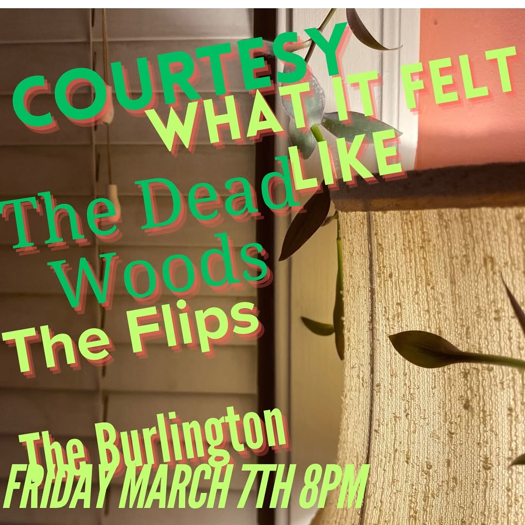 COURTESY, WHAT IT FELT LIKE, THE DEAD WOODS, THE FLIPS