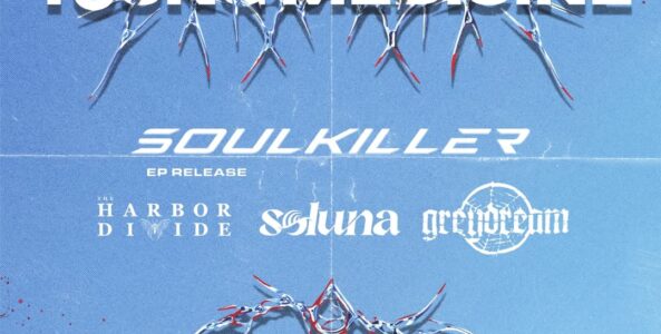 YOUNG MEDICINE, SOULKILLER, THE HARBOR DIVIDE, SOLUNA, GREYDREAM