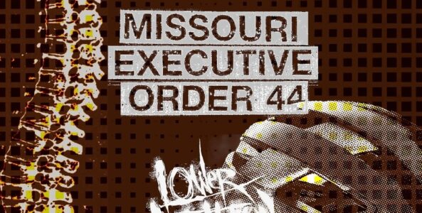 USURP SYNAPSE, MISSOURI EXECUTIVE ORDER 44, LOWER AUTOMATION