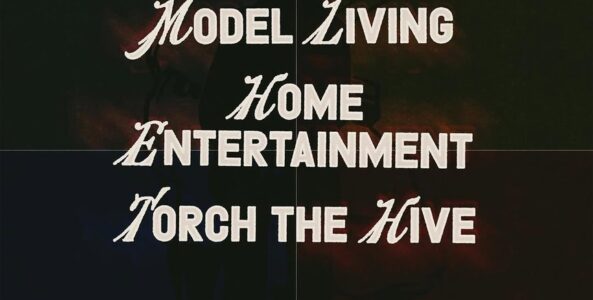 MODEL LIVING, HOME ENTERTAINMENT, TORCH THE HIVE