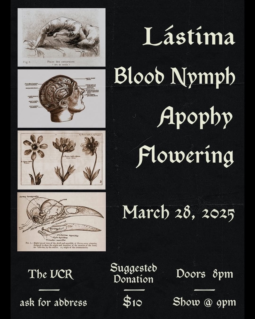 LÁSTIMA, BLOOD NYMPH, APOPHY, FLOWERING