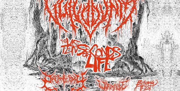 VULVODYNIA, THE LAST TEN SECONDS OF LIFE, ORGANECTOMY, WORMHOLE, BEHEADING THE ICON