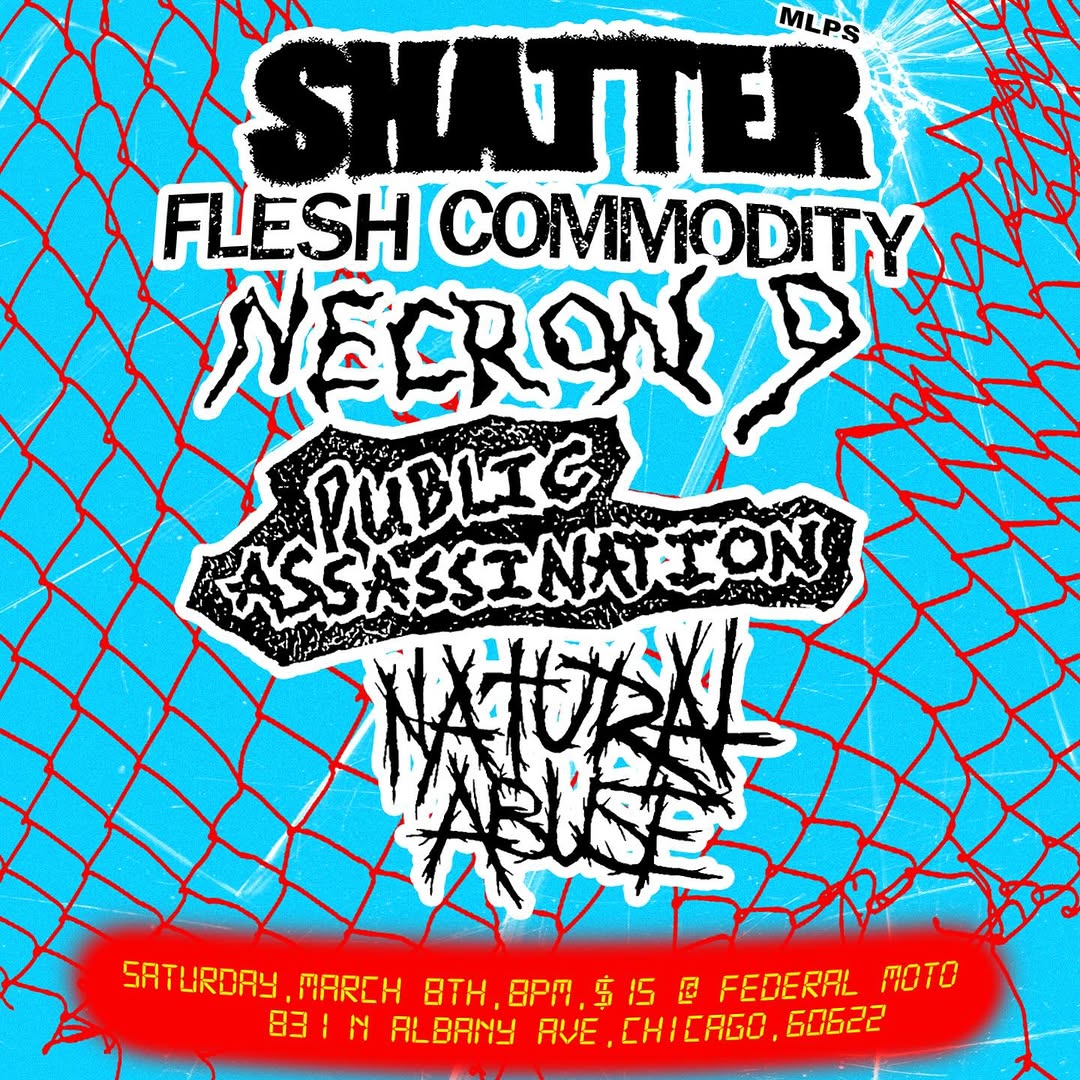 SHATTER, FLESH COMMODITY, NECRON 9, PUBLIC ASSASSINATION, NATURAL ABUSE