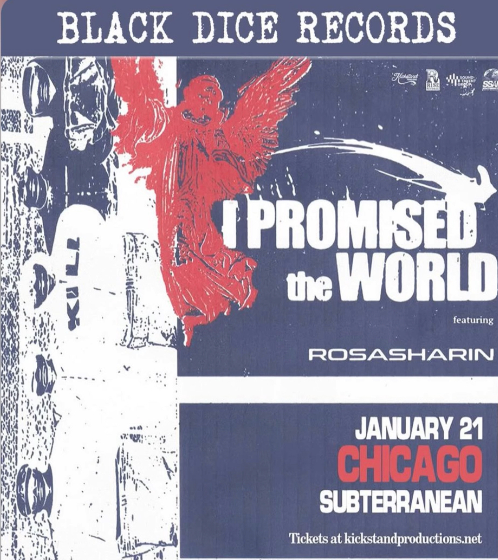 I PROMISED THE WORLD, ROSASHARIN