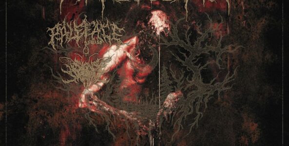 LORNA SHORE, PALEFACE SWISS, SIGNS OF THE SWARM