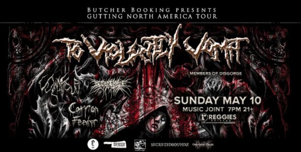 TO VIOLENTLY VOMIT, VULNIFICUS, DEGENERATE SYNAPSE, CARRION FEEDER