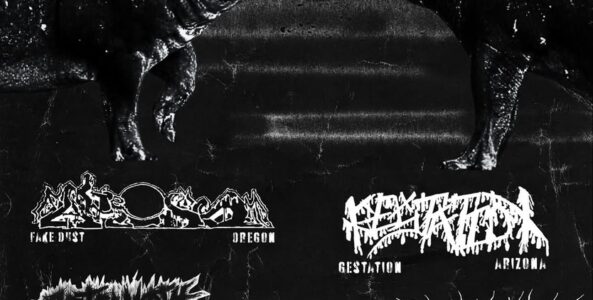 FAKE DUST, GESTATION, AFTERMATH, MELTING ROT, DEGENERATE SYNAPSE