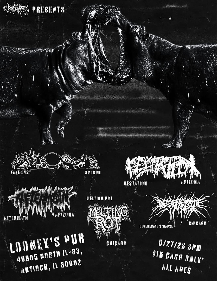 FAKE DUST, GESTATION, AFTERMATH, MELTING ROT, DEGENERATE SYNAPSE