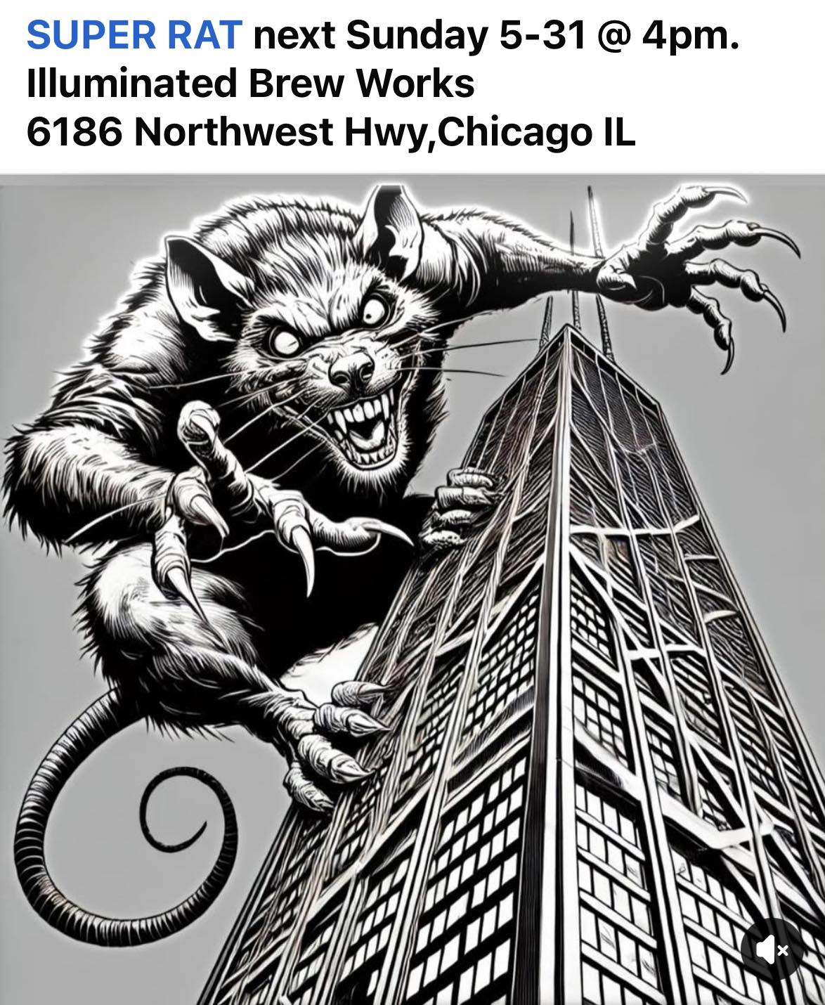 SUPER RAT, SOUTH END SAL