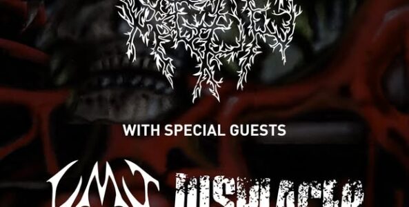 URINE HELL, LMI, DISPLACER