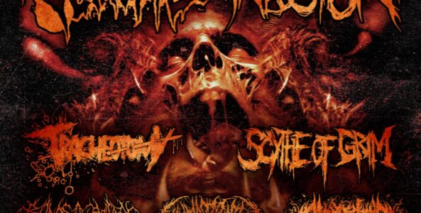 Brutality In The Midwest