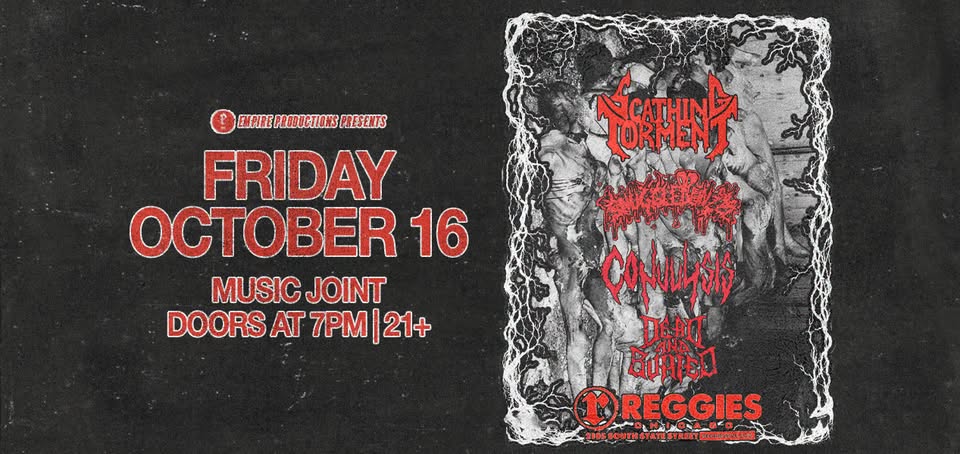 SCATHING TORMENT, SNUGGLEBUNZZZ, CONVULSIS, DEAD AND BURIED