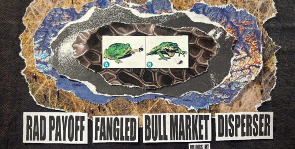 RAD PAYOFF, FANGLED, BULL MARKET, DISPERSER
