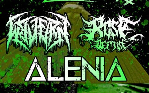 HALL OF THE ELDERS, WYVERN, ROSE OF DEMISE, ALENIA