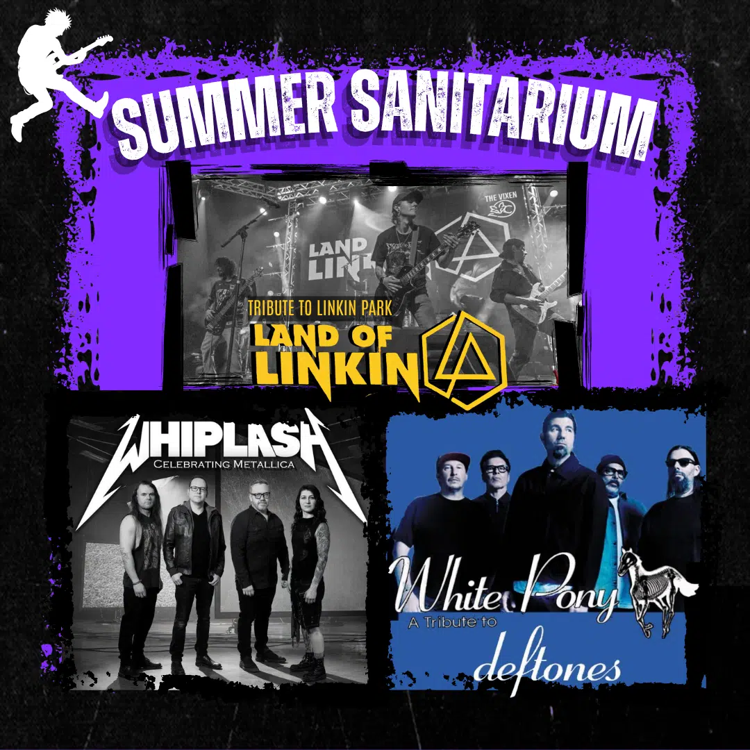 LAND OF LINKIN, WHITE PONY, WHIPLASH