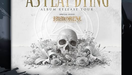 AS I LAY DYING, IMMORTAL DISFIGUREMENT