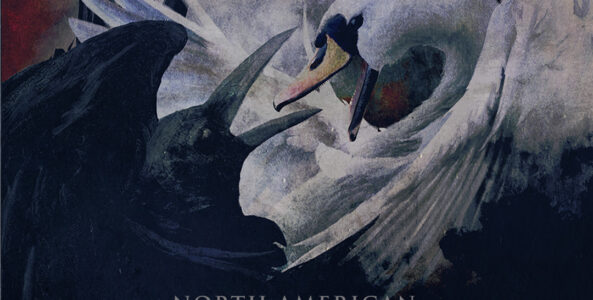 AMORPHIS, INSOMNIUM, HINAYANA